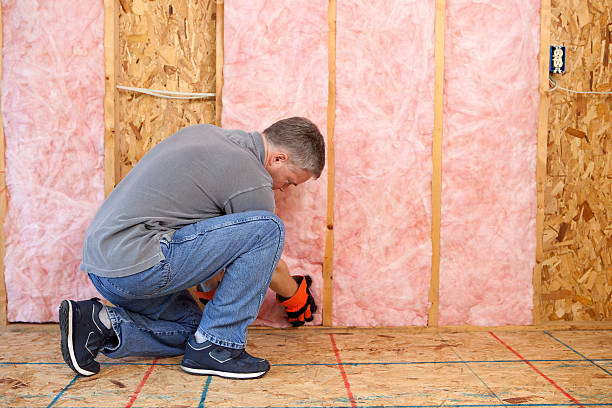 Best Insulation Maintenance and Repair in Martin, TN