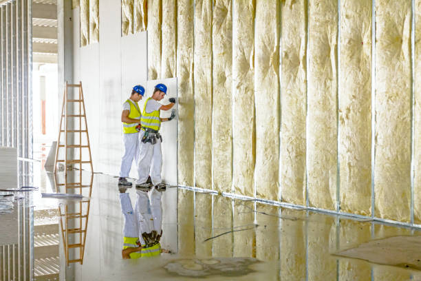 Best Types of Insulation in Martin, TN